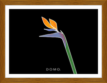 Load image into Gallery viewer, BIRD OF PARADISE 22x16
