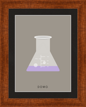 Load image into Gallery viewer, ERLENMEYER FLASK (LAB COLLECTION) 8x11
