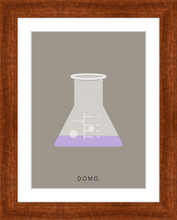 Load image into Gallery viewer, ERLENMEYER FLASK (LAB COLLECTION) 8x11
