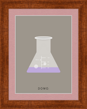 Load image into Gallery viewer, ERLENMEYER FLASK (LAB COLLECTION) 8x11
