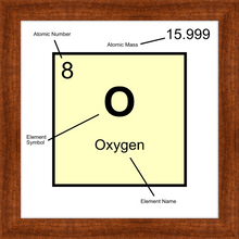 Load image into Gallery viewer, OXYGEN (LAB COLLECTION)12x12
