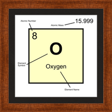 Load image into Gallery viewer, OXYGEN (LAB COLLECTION)12x12
