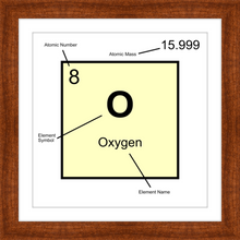 Load image into Gallery viewer, OXYGEN (LAB COLLECTION)12x12
