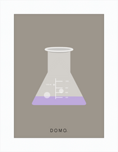 Load image into Gallery viewer, ERLENMEYER FLASK (LAB COLLECTION) 8x11
