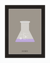 Load image into Gallery viewer, ERLENMEYER FLASK (LAB COLLECTION) 8x11
