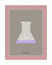 Load image into Gallery viewer, ERLENMEYER FLASK (LAB COLLECTION) 8x11
