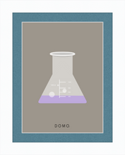 Load image into Gallery viewer, ERLENMEYER FLASK (LAB COLLECTION) 8x11
