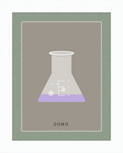 Load image into Gallery viewer, ERLENMEYER FLASK (LAB COLLECTION) 8x11
