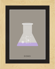 Load image into Gallery viewer, ERLENMEYER FLASK (LAB COLLECTION) 8x11
