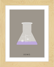 Load image into Gallery viewer, ERLENMEYER FLASK (LAB COLLECTION) 8x11
