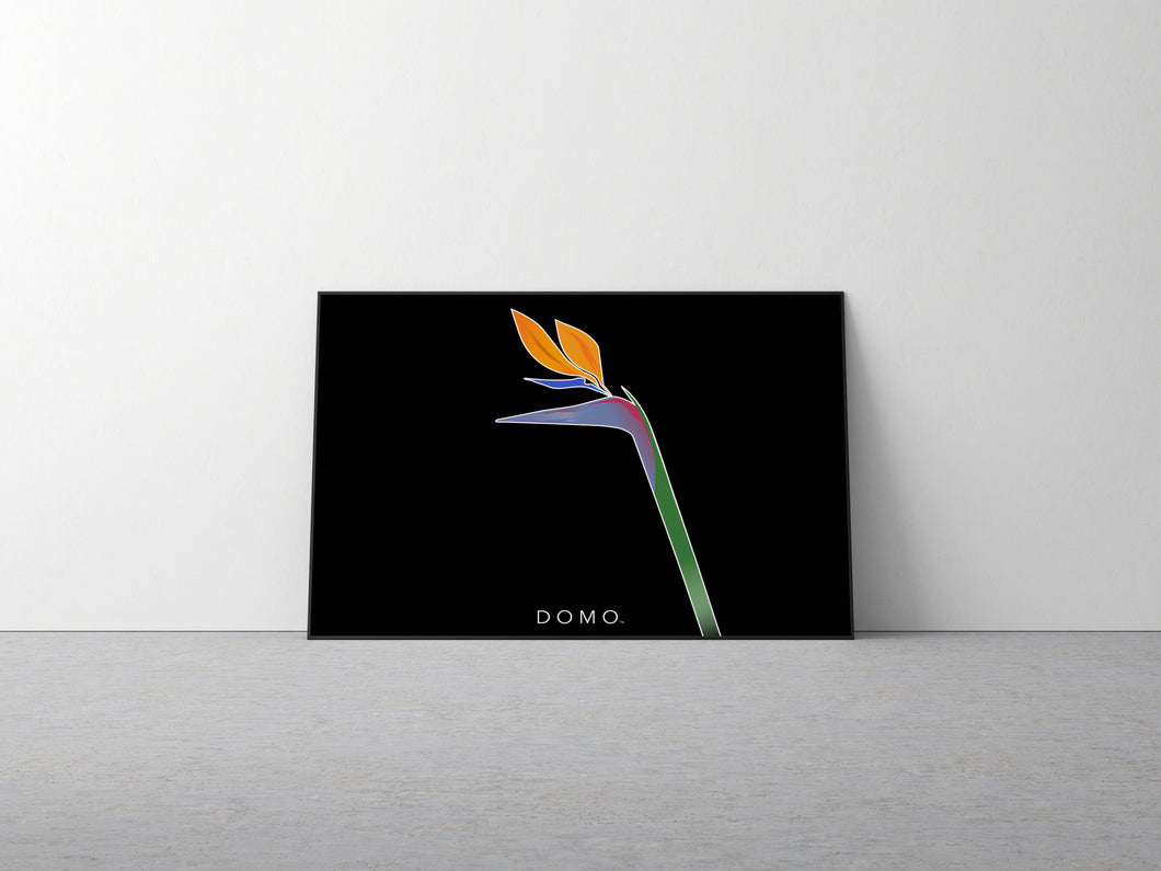 BIRD OF PARADISE 48x32