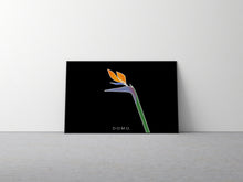 Load image into Gallery viewer, BIRD OF PARADISE 22x16
