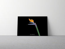 Load image into Gallery viewer, BIRD OF PARADISE 60x40

